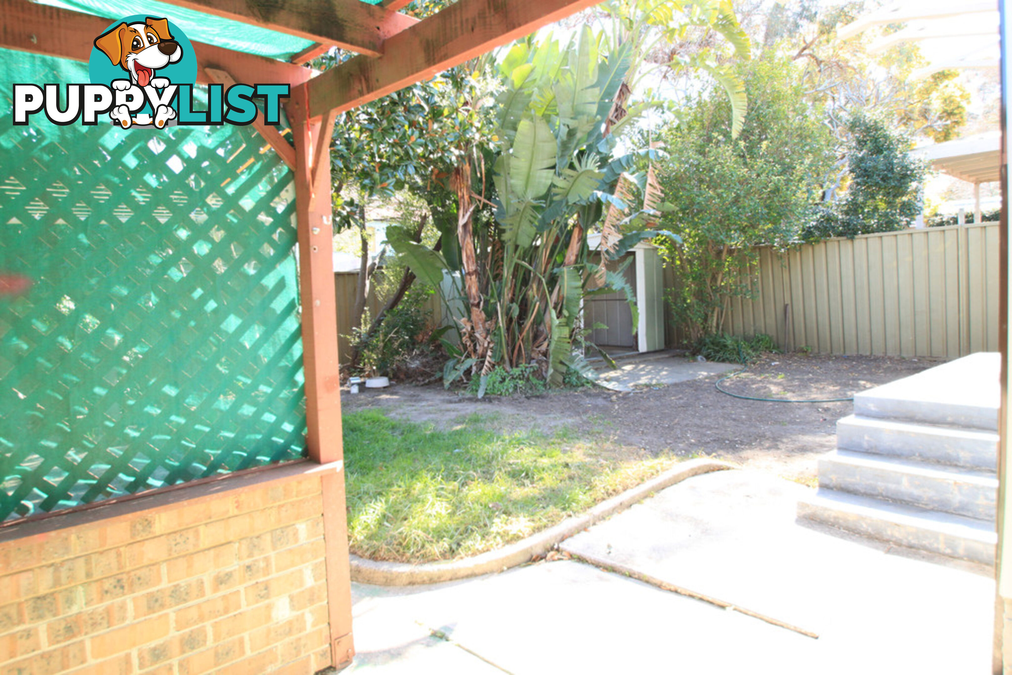 6 Bright Street MARRICKVILLE NSW 2204