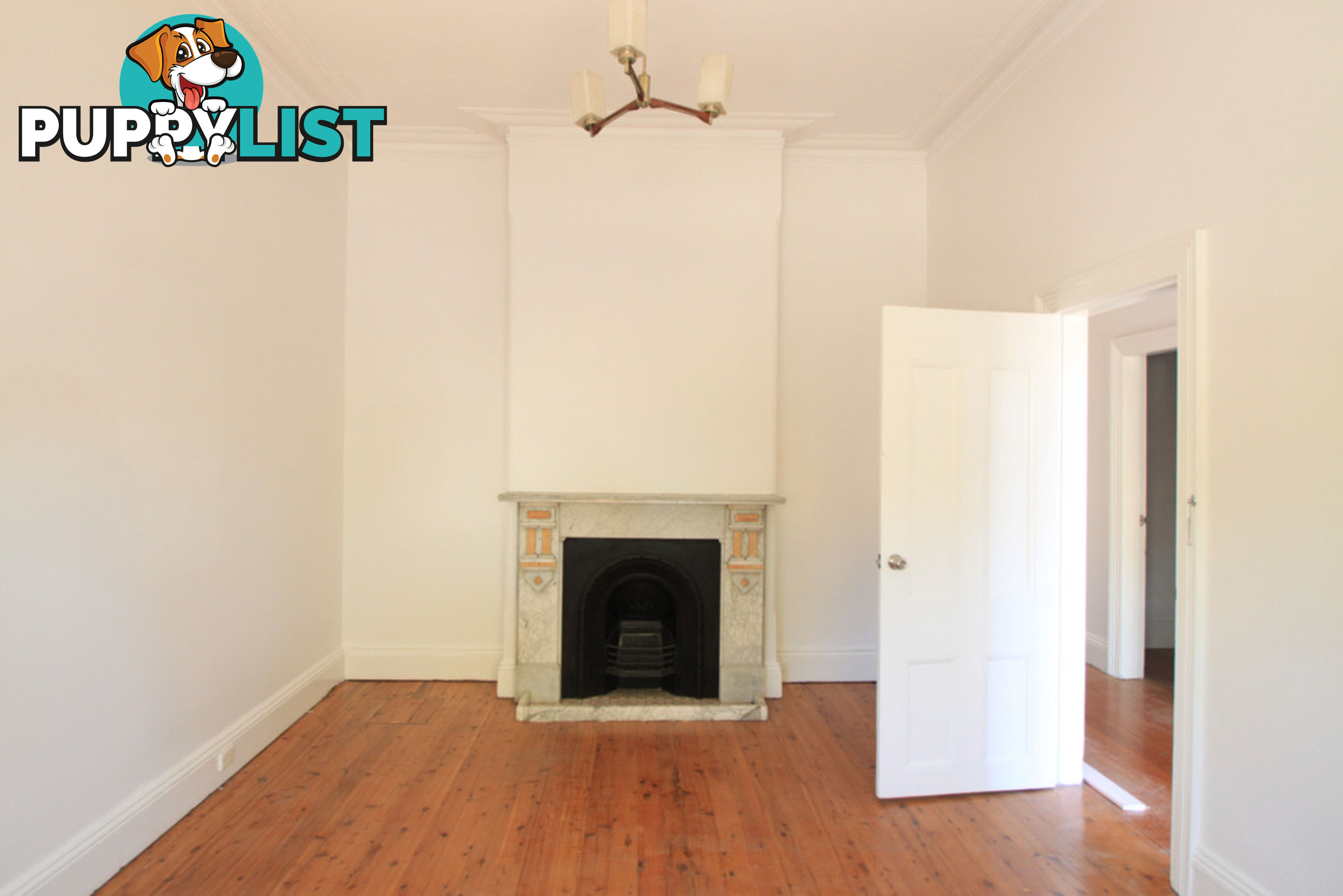 6 Bright Street MARRICKVILLE NSW 2204