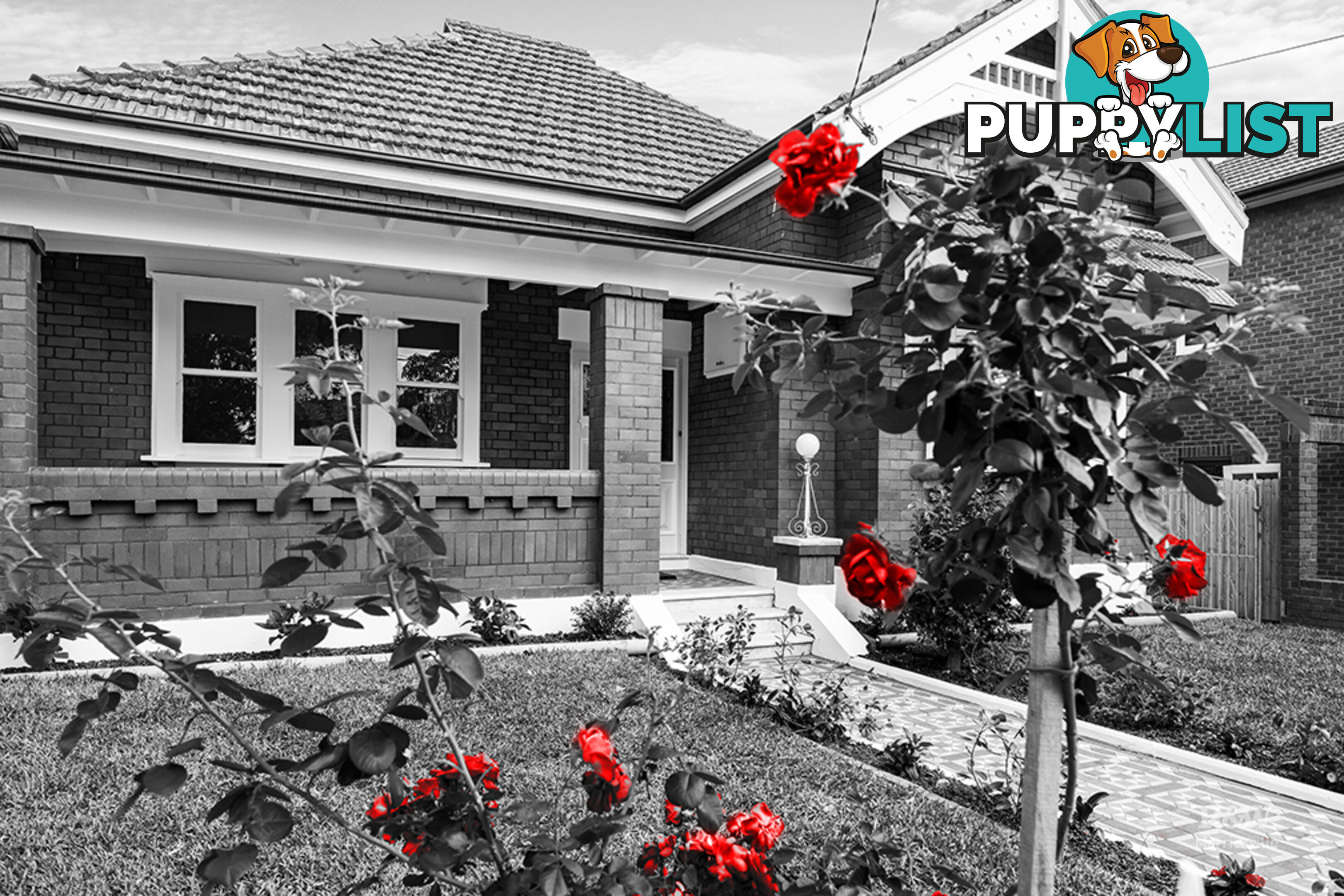 46 Canonbury Grove DULWICH HILL NSW 2203