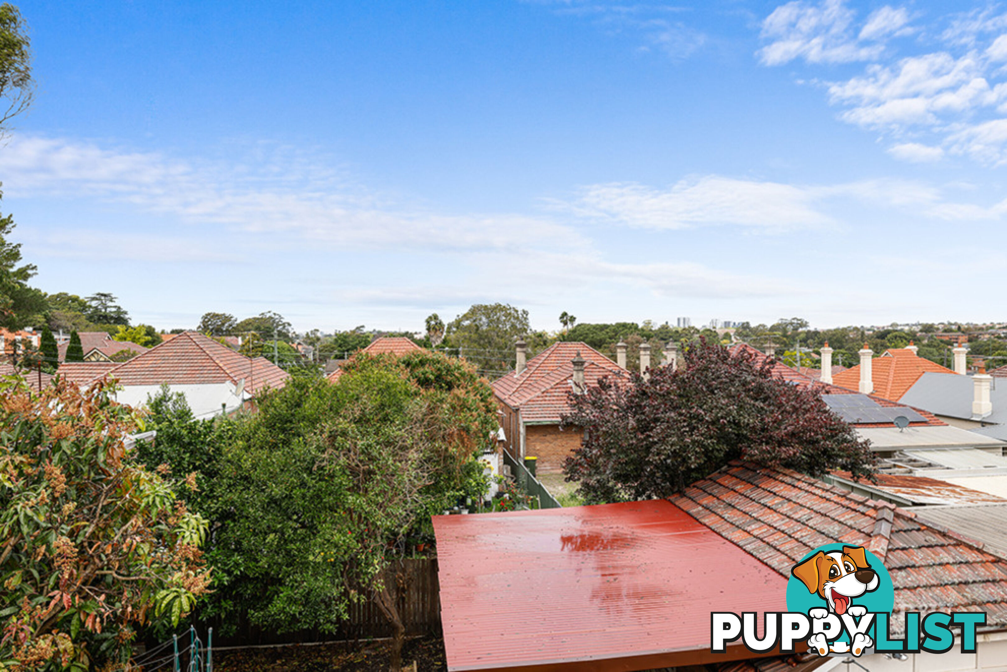 46 Canonbury Grove DULWICH HILL NSW 2203