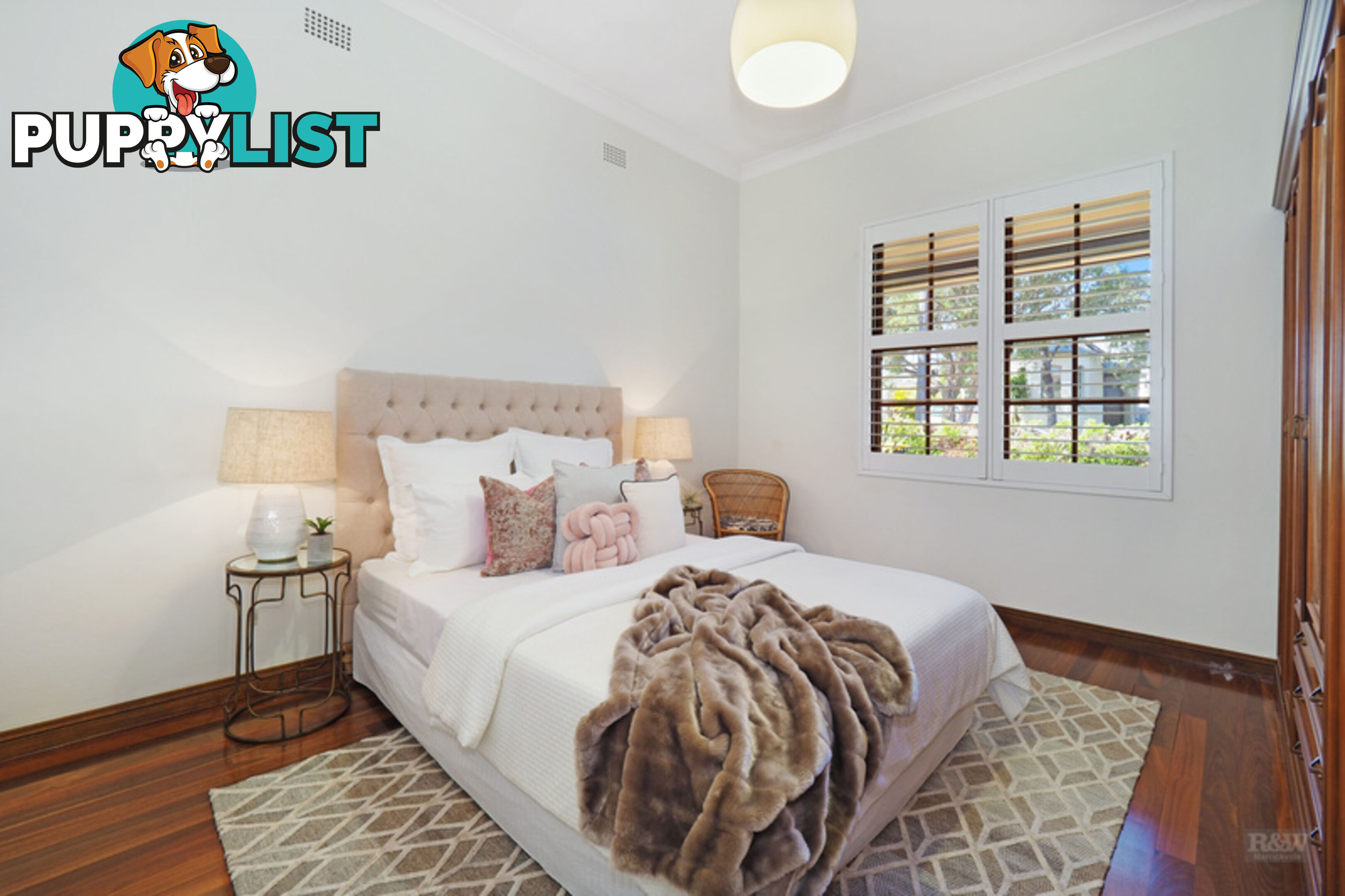 55 Duntroon Street HURLSTONE PARK NSW 2193