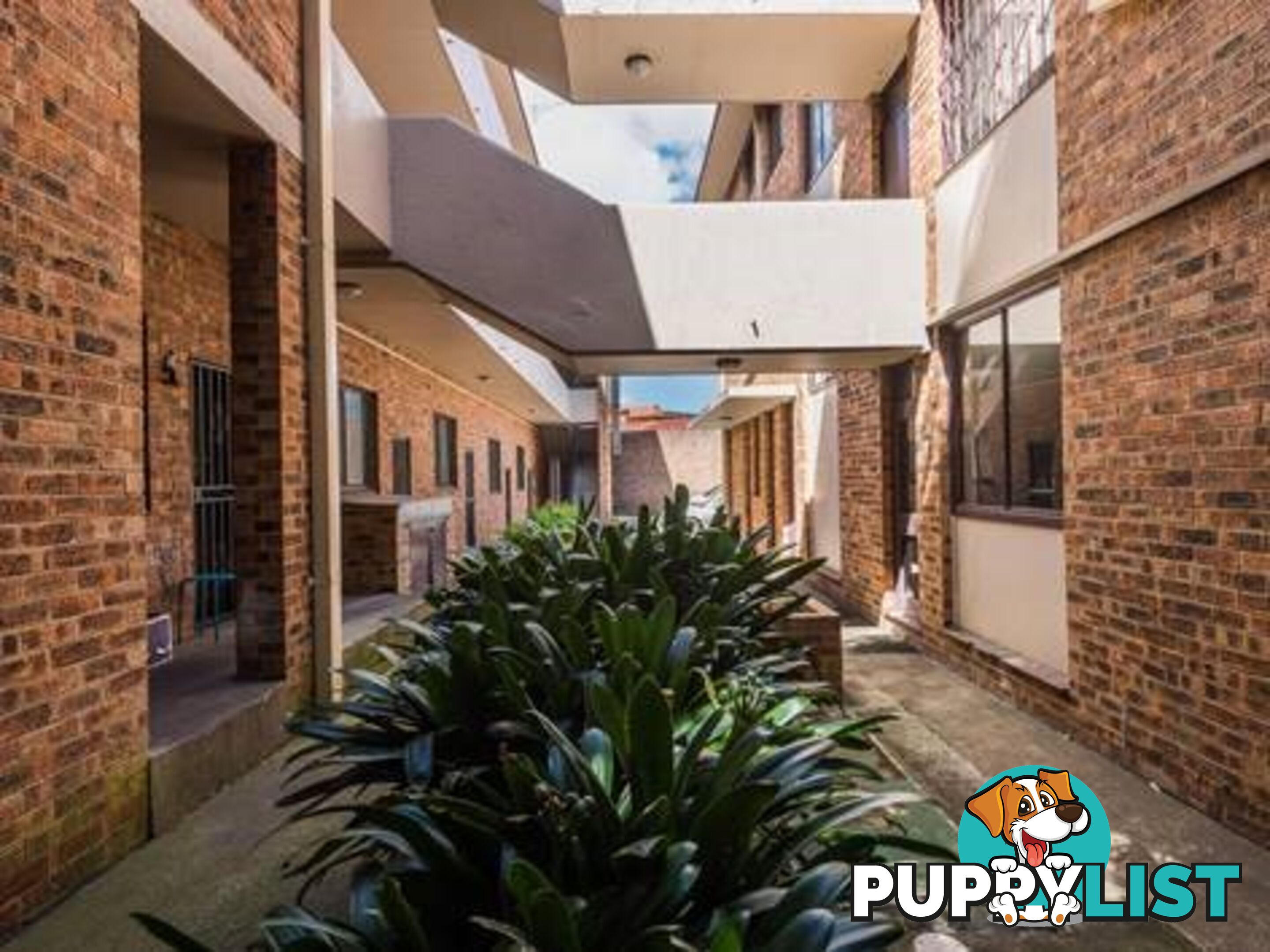 6/682 New Canterbury Road HURLSTONE PARK NSW 2193