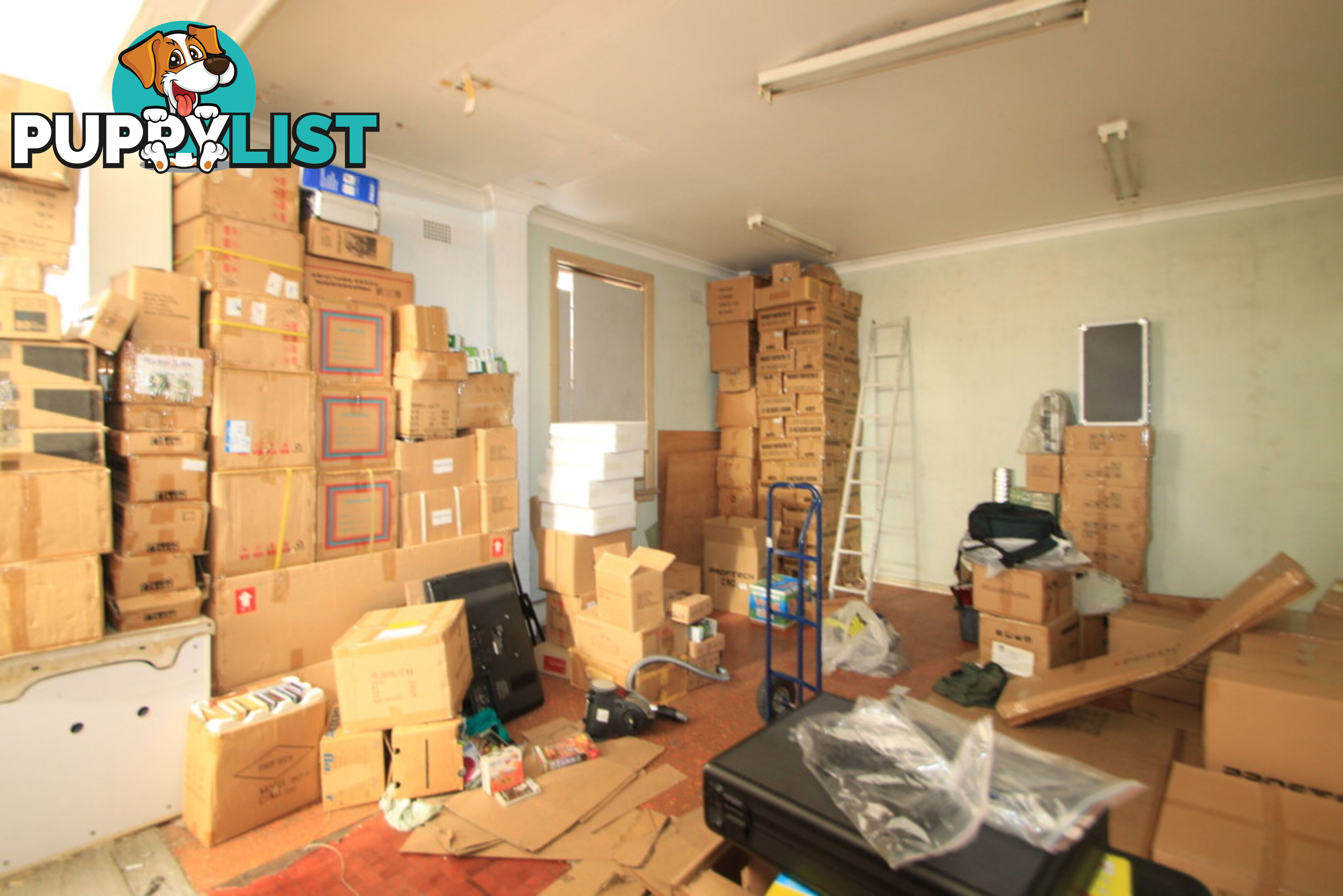 873 New Canterbury Road DULWICH HILL NSW 2203
