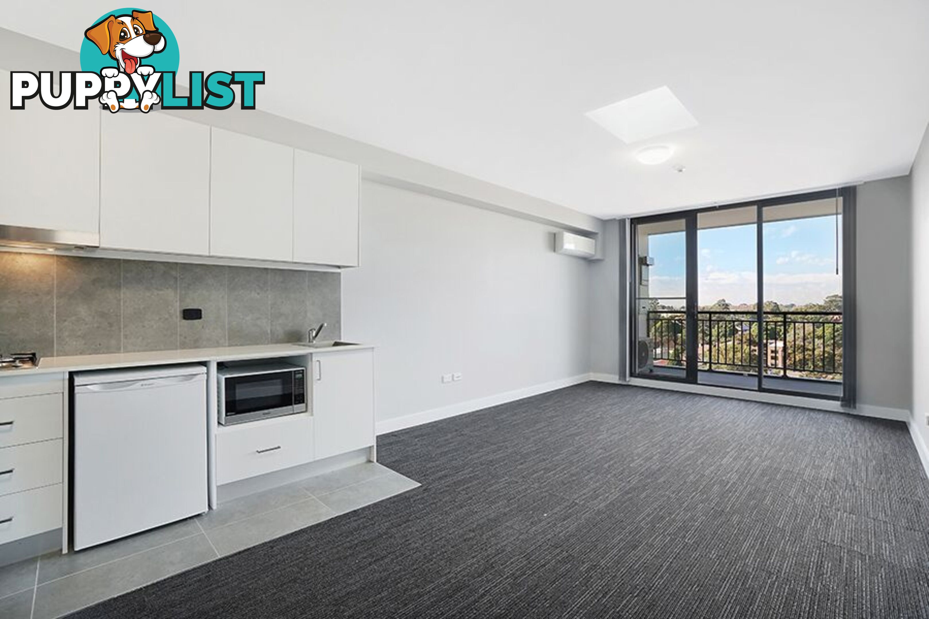 244 Wardell Road MARRICKVILLE NSW 2204