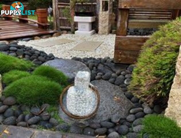 Zoysia No Mow Grass $7.00 per Pots Free Express Postage.