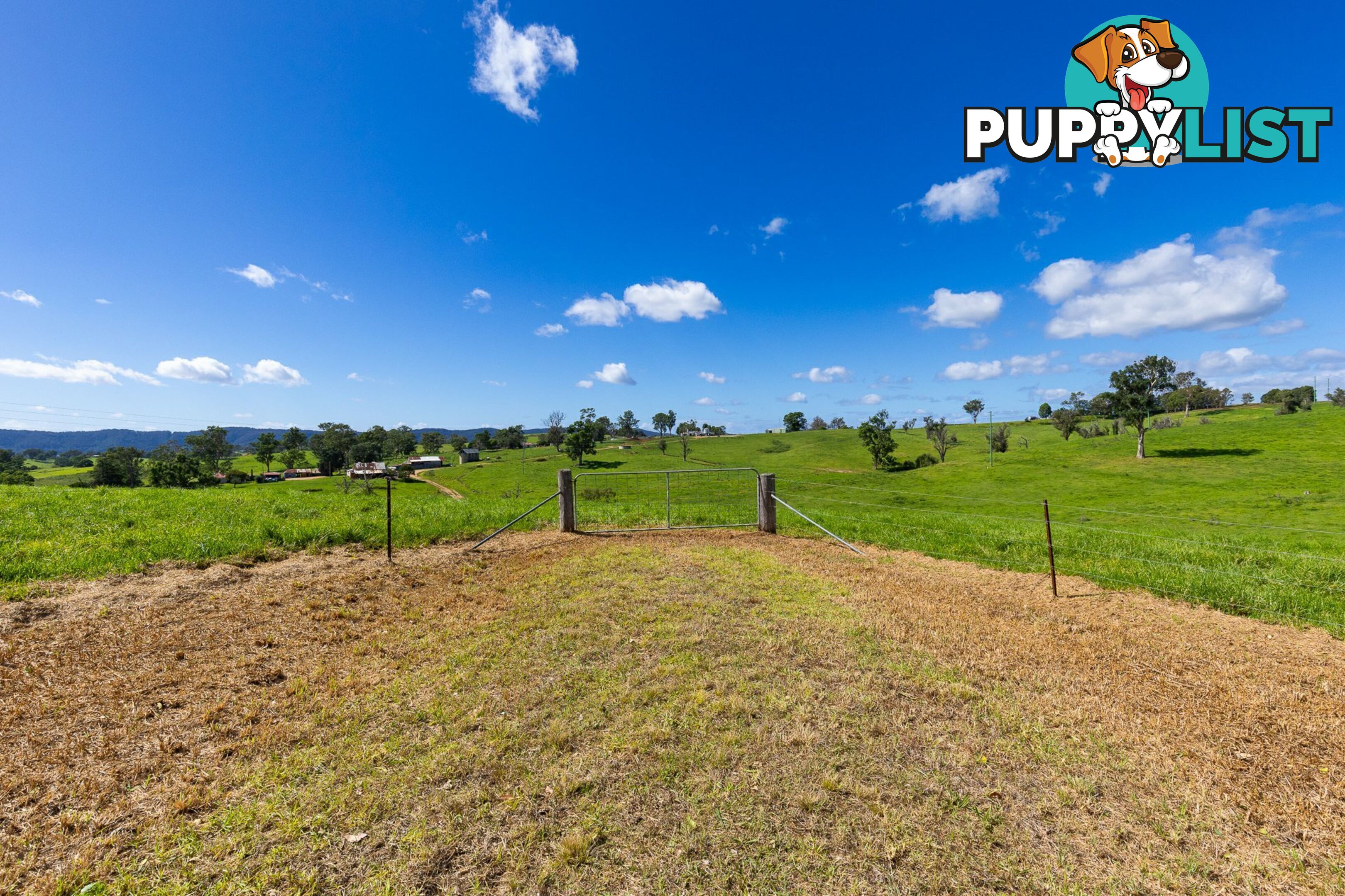 Lot 24 Upper Cobargo Road BEGA NSW 2550