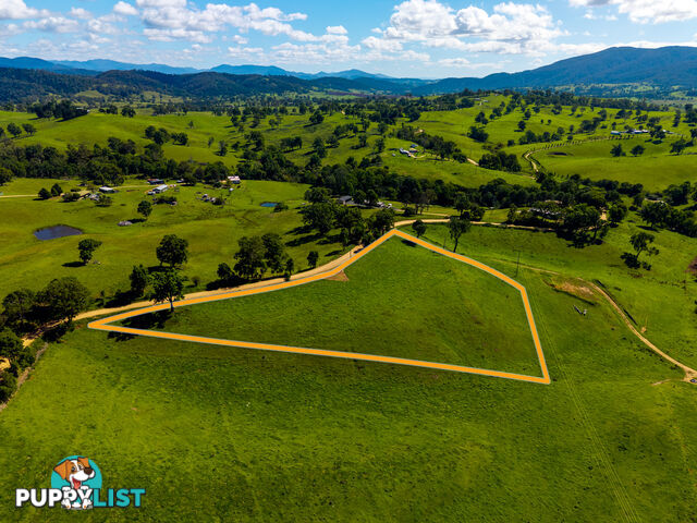 Lot 24 Upper Cobargo Road BEGA NSW 2550
