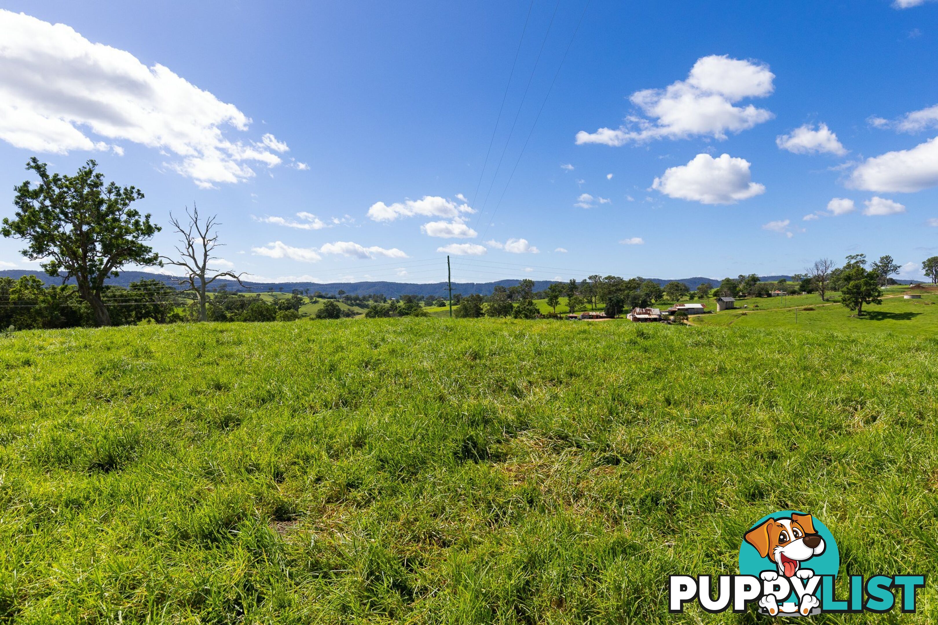 Lot 24 Upper Cobargo Road BEGA NSW 2550