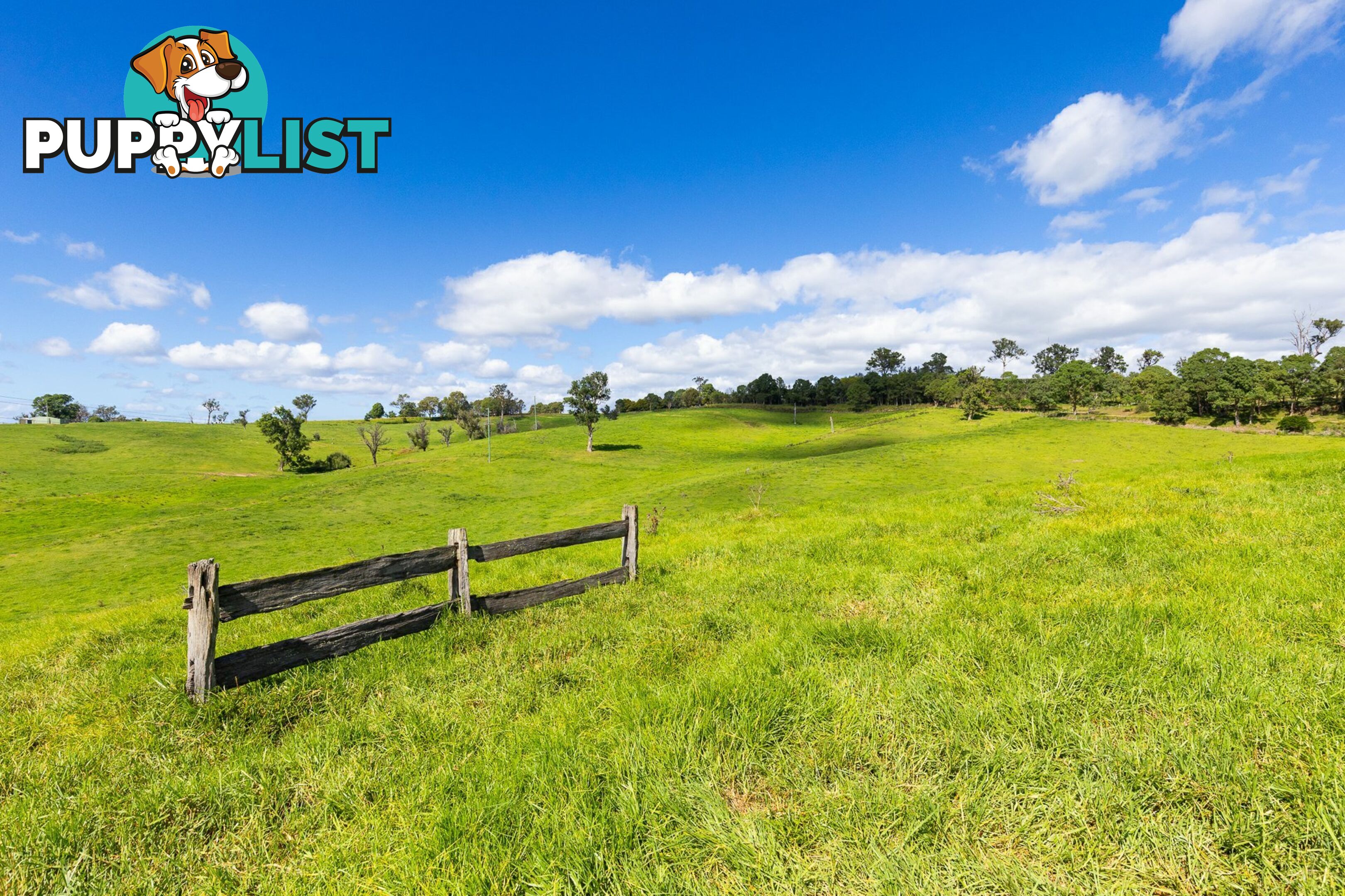 Lot 24 Upper Cobargo Road BEGA NSW 2550