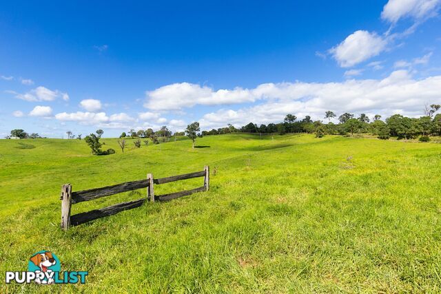 Lot 24 Upper Cobargo Road BEGA NSW 2550