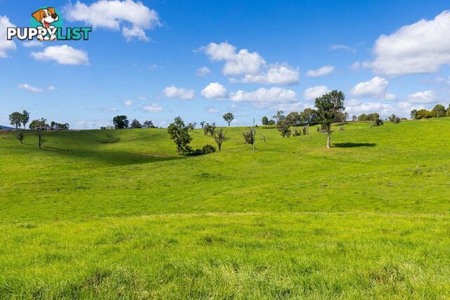 Lot 24 Upper Cobargo Road BEGA NSW 2550
