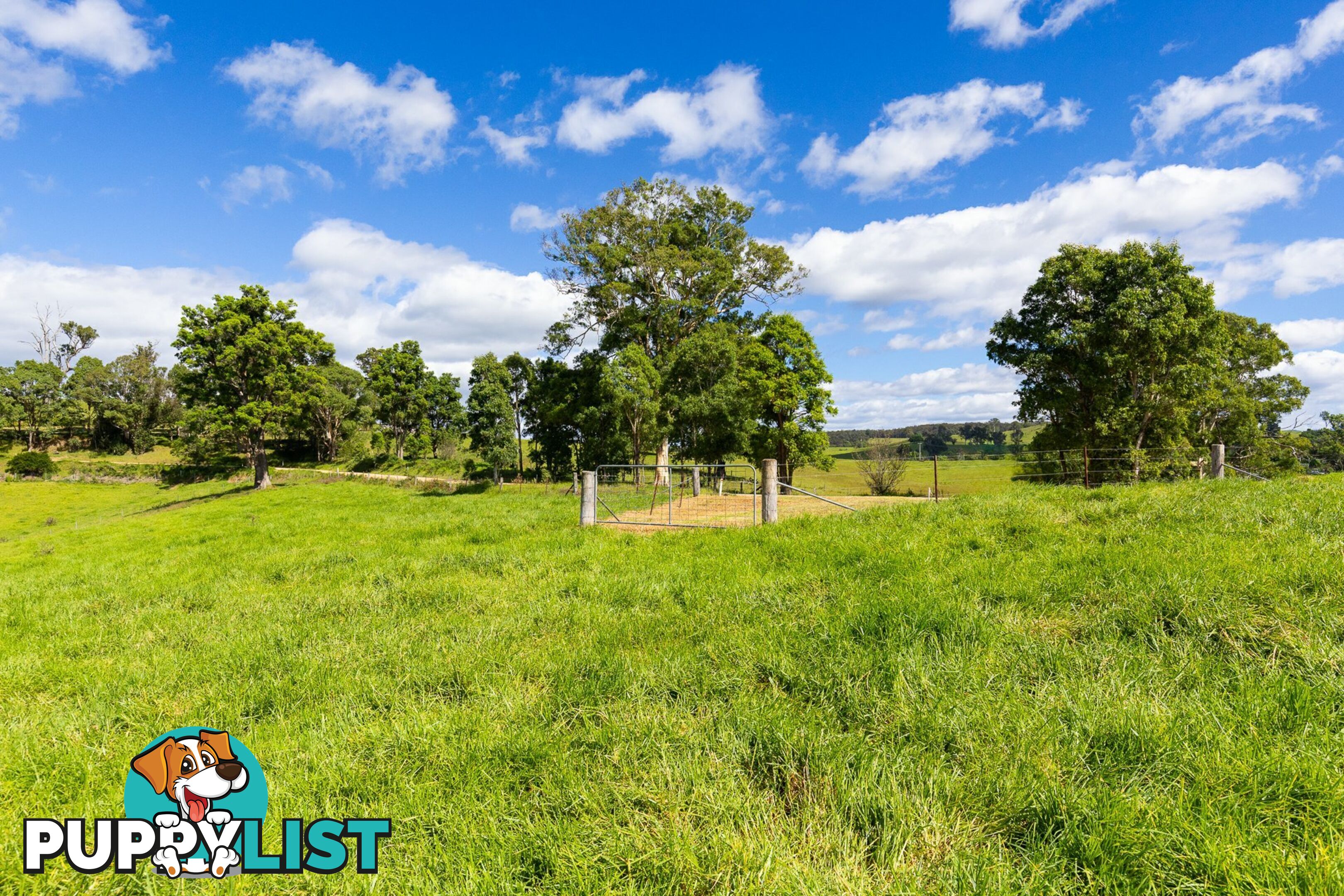 Lot 24 Upper Cobargo Road BEGA NSW 2550