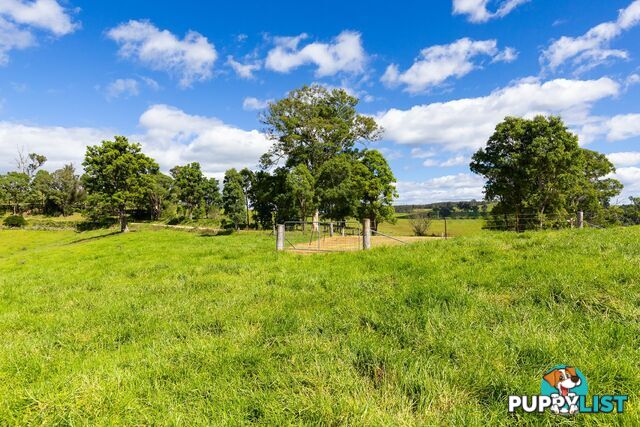 Lot 24 Upper Cobargo Road BEGA NSW 2550