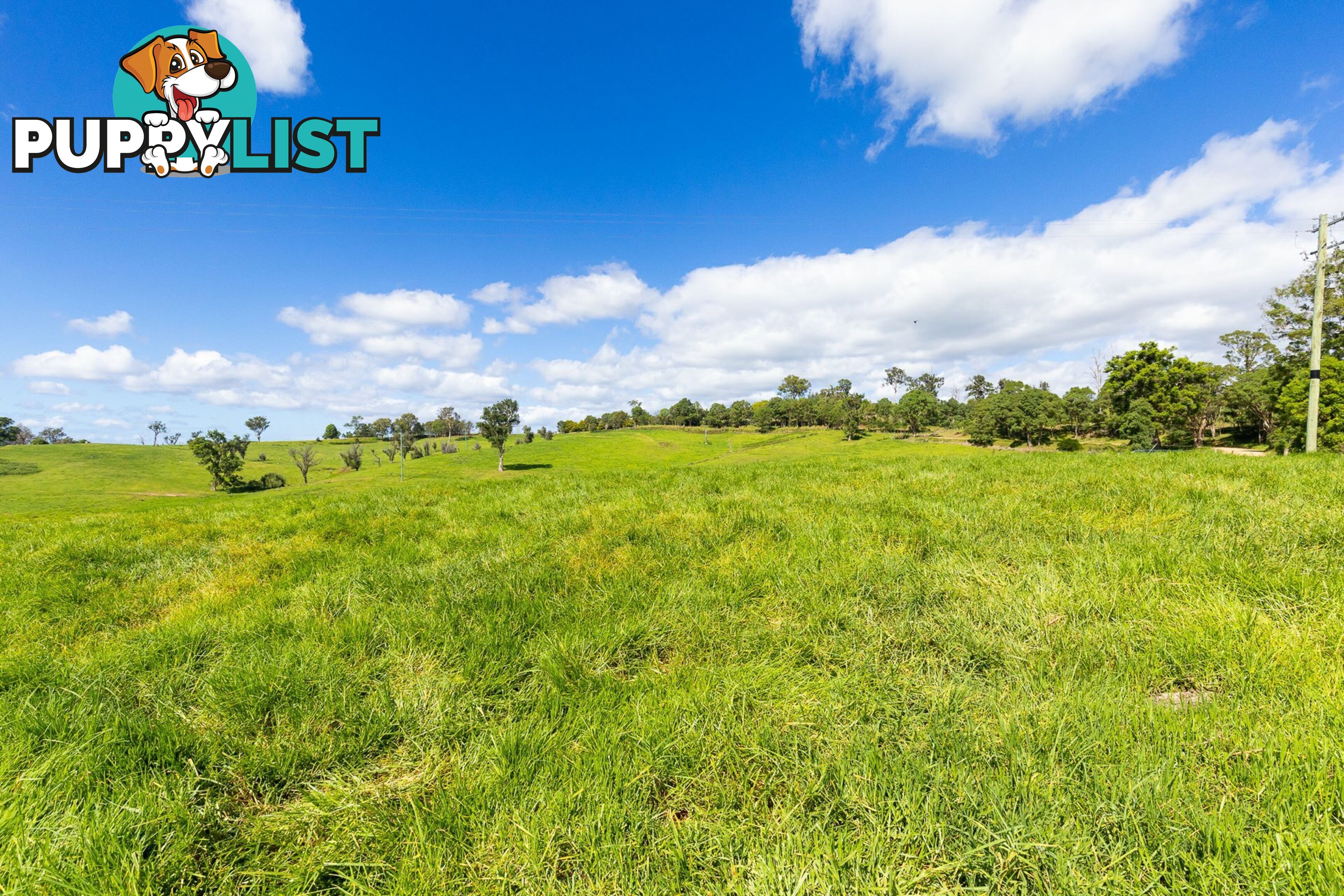 Lot 24 Upper Cobargo Road BEGA NSW 2550