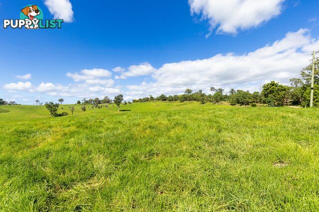 Lot 24 Upper Cobargo Road BEGA NSW 2550