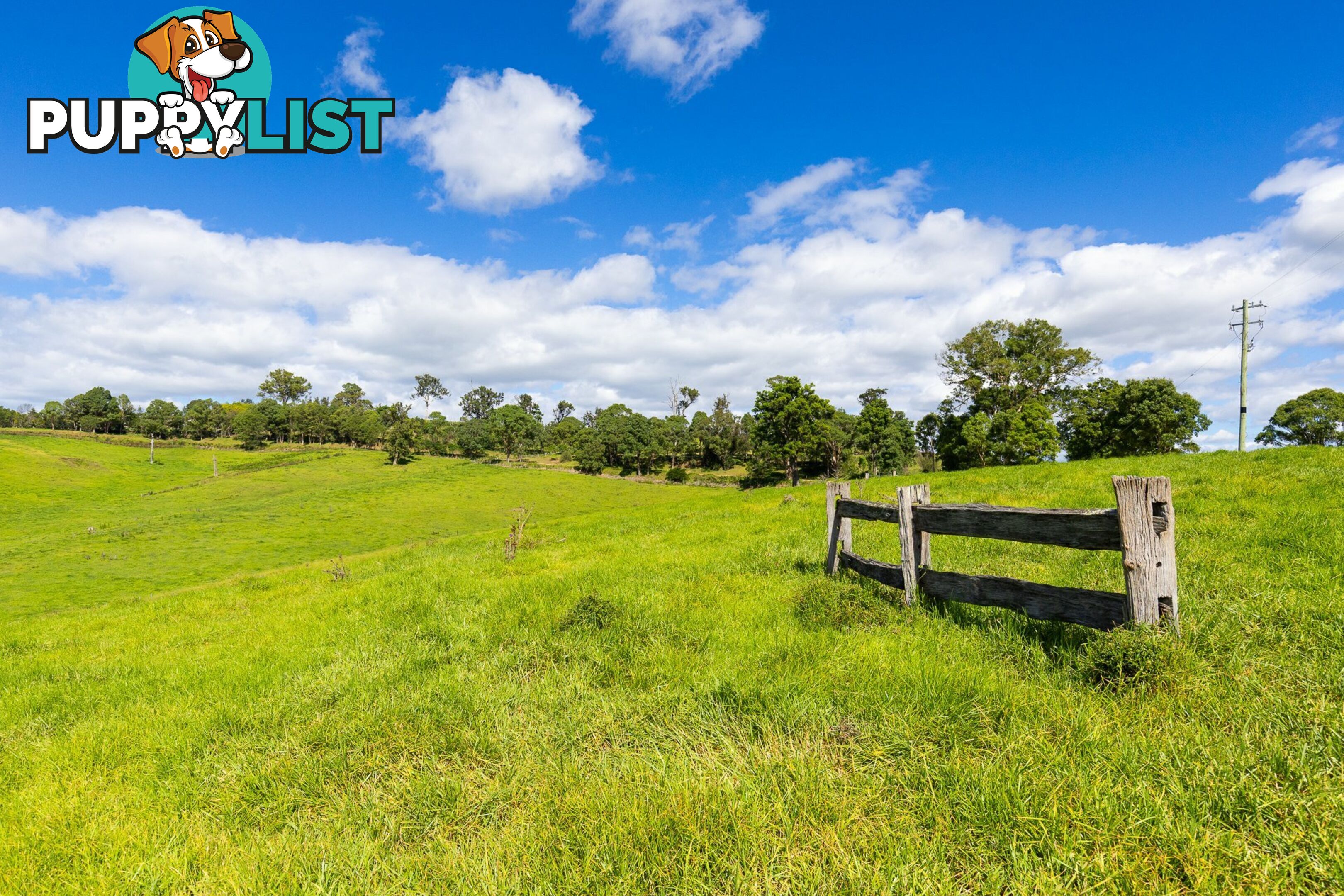 Lot 24 Upper Cobargo Road BEGA NSW 2550
