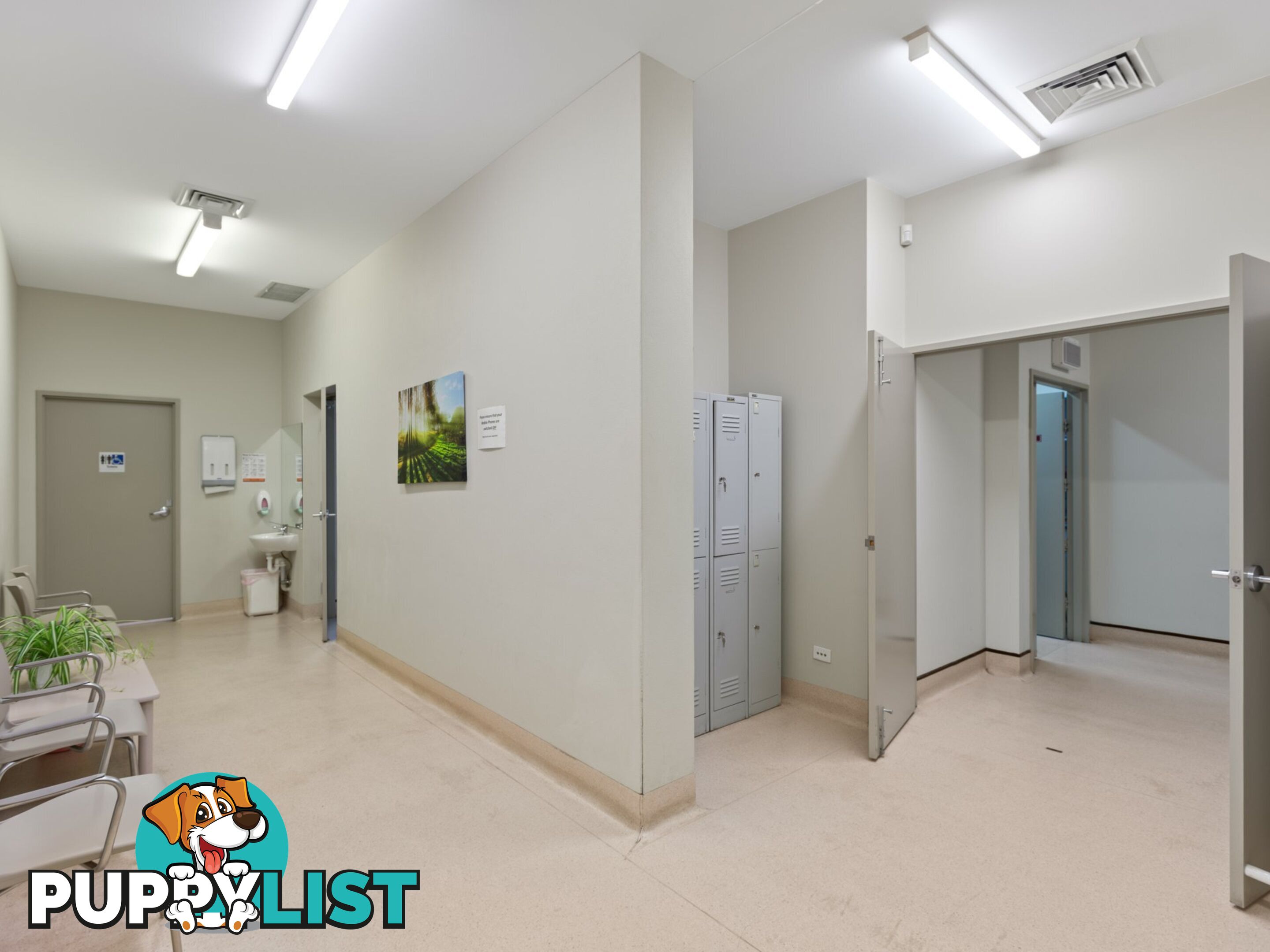 16A Canning Street BEGA NSW 2550