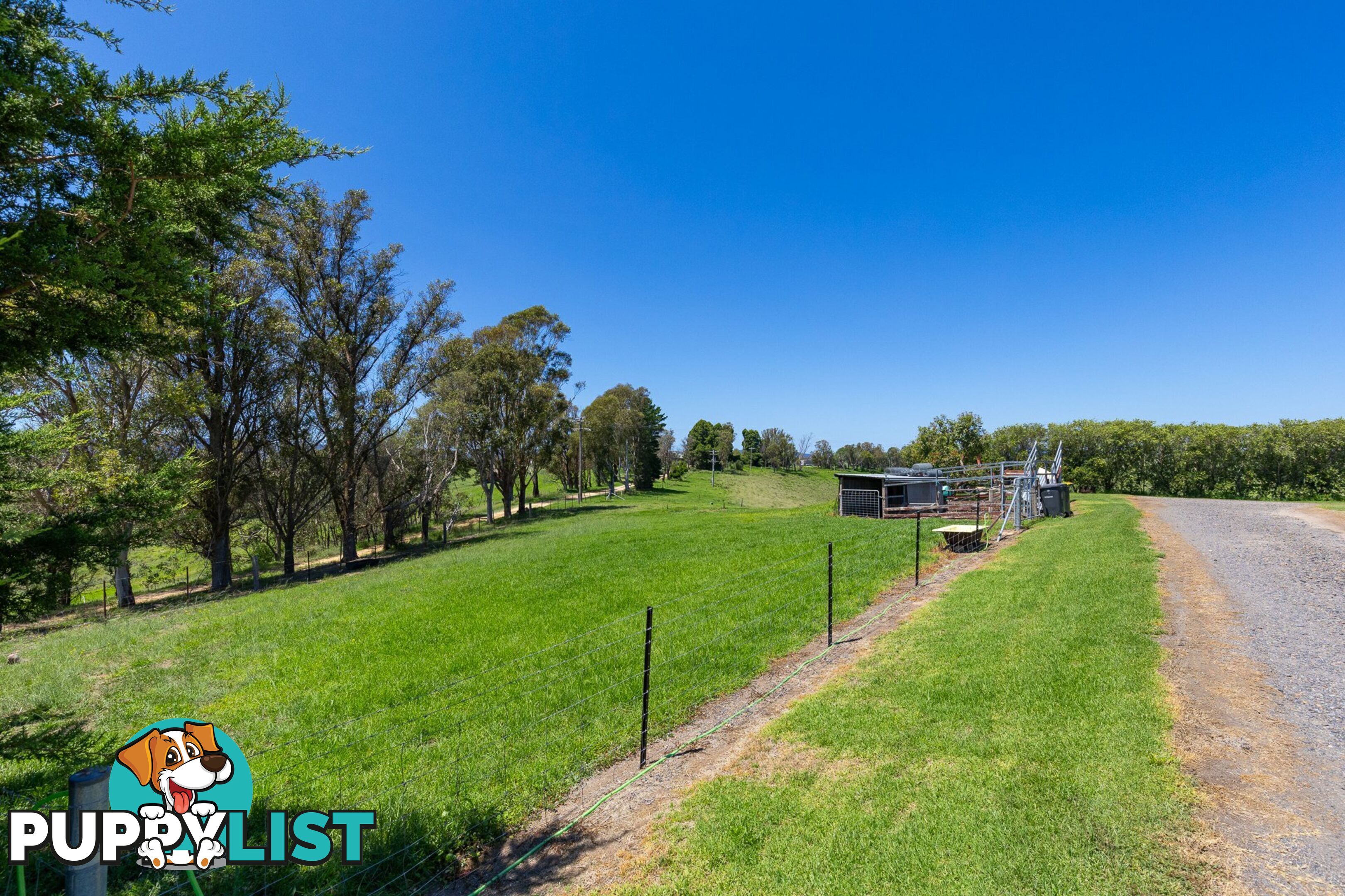 739 Candelo Bega Road CANDELO NSW 2550