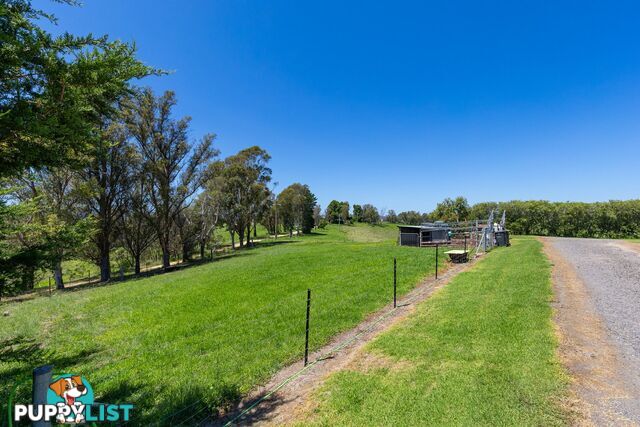 739 Candelo Bega Road CANDELO NSW 2550