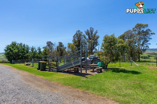 739 Candelo Bega Road CANDELO NSW 2550