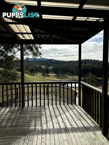 4/15 Rilys Road COOLAGOLITE NSW 2550