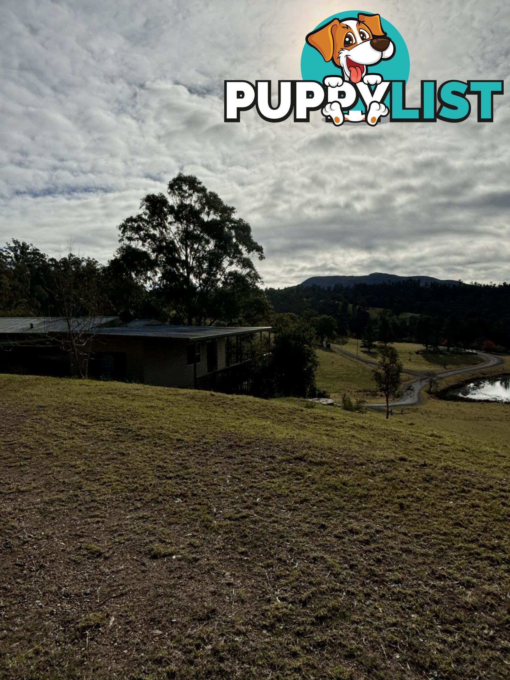 4/15 Rilys Road COOLAGOLITE NSW 2550