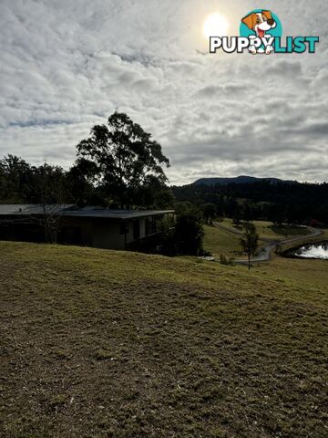4/15 Rilys Road COOLAGOLITE NSW 2550