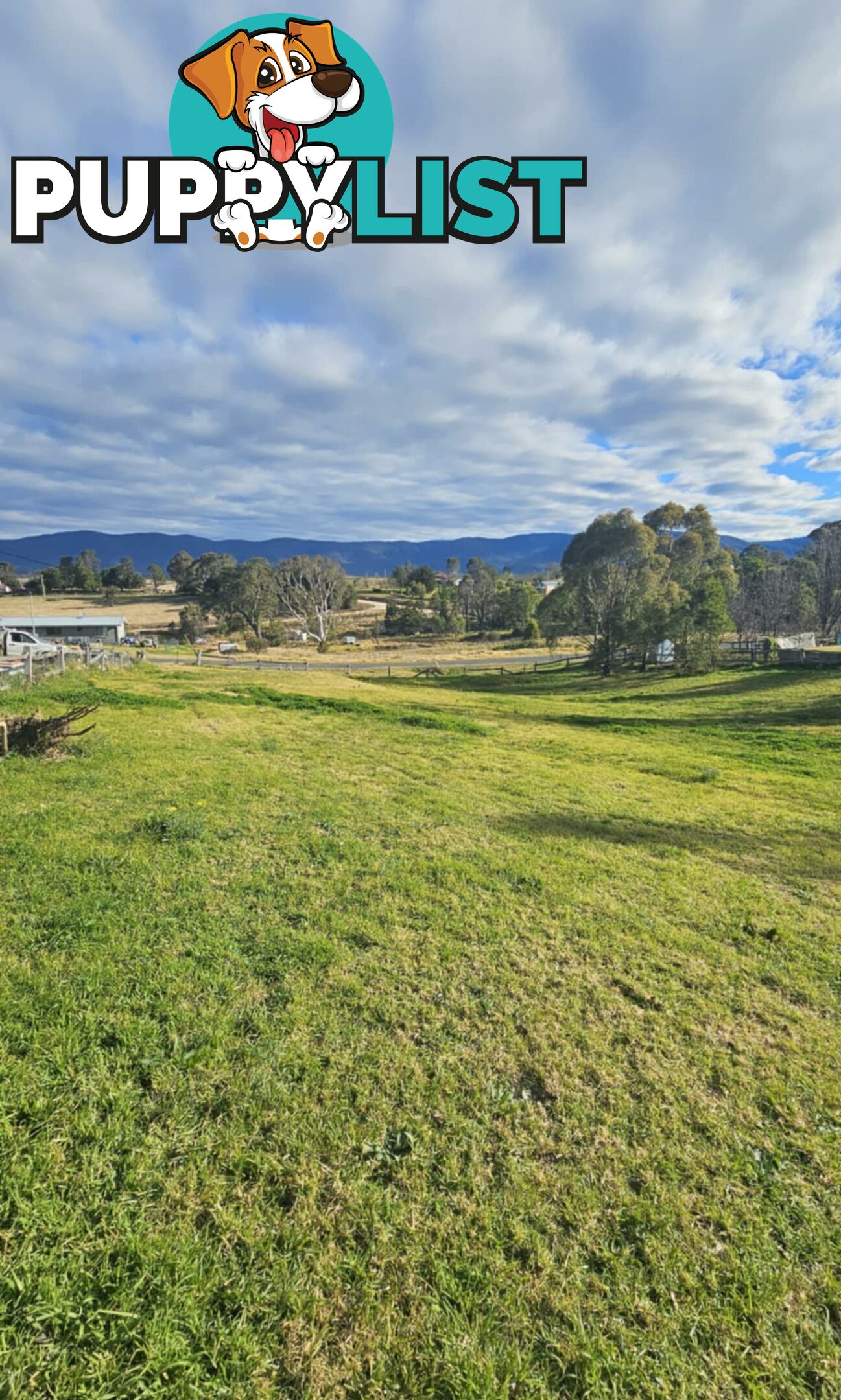 82-84 Kameruka Street BEMBOKA NSW 2550