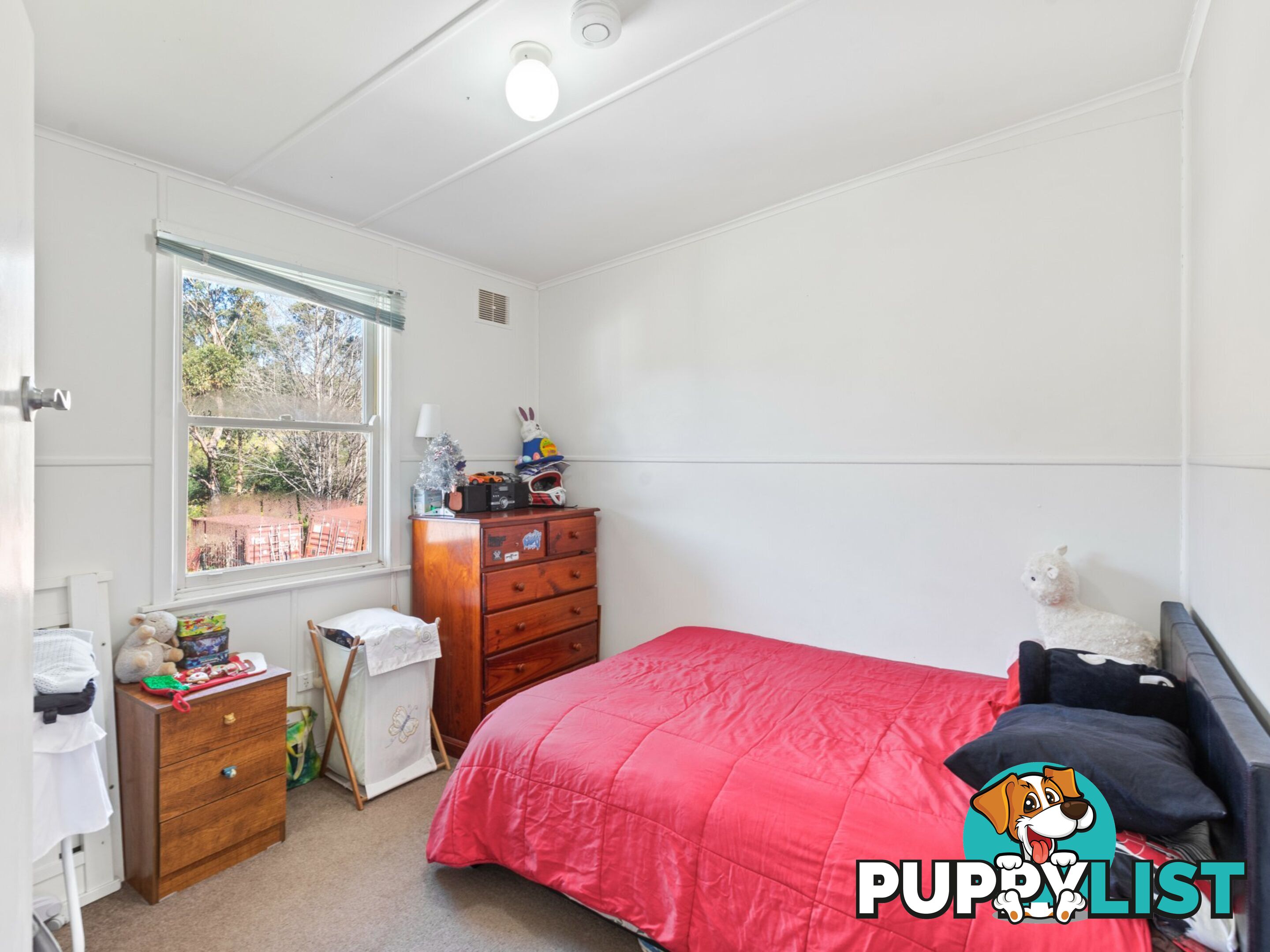 11 Cobargo Bermagui Road COBARGO NSW 2550