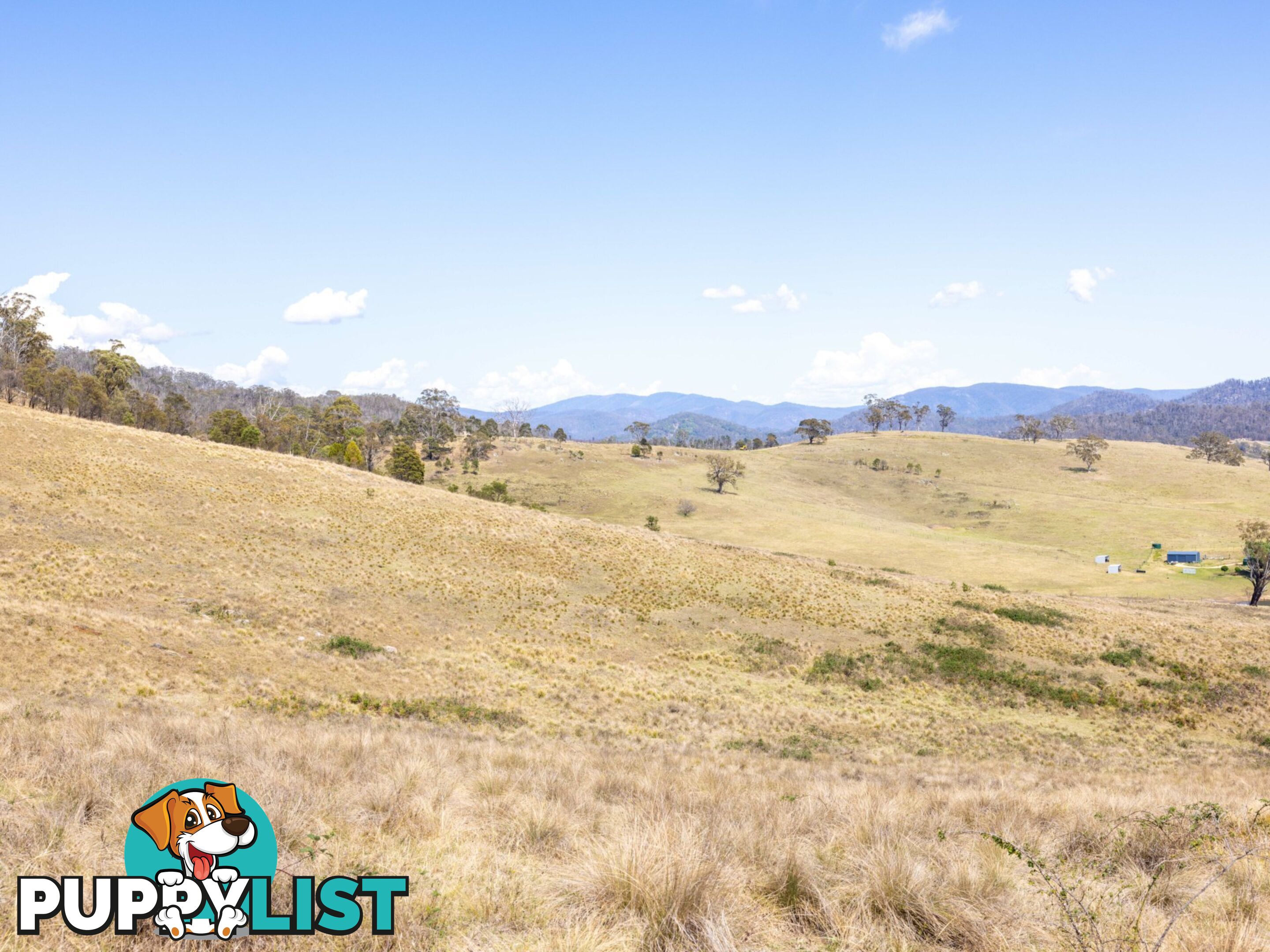 Lot 44 Mount Darragh Road WYNDHAM NSW 2550