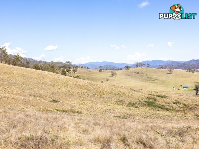 Lot 44 Mount Darragh Road WYNDHAM NSW 2550