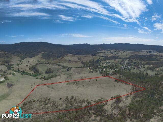 Lot 44 Mount Darragh Road WYNDHAM NSW 2550