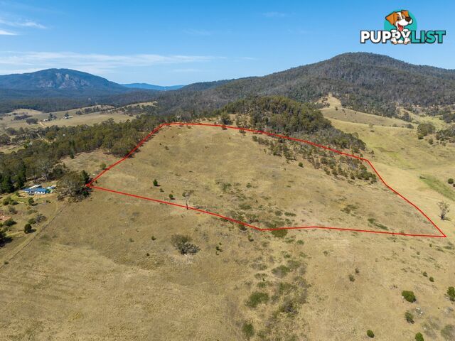 Lot 44 Mount Darragh Road WYNDHAM NSW 2550