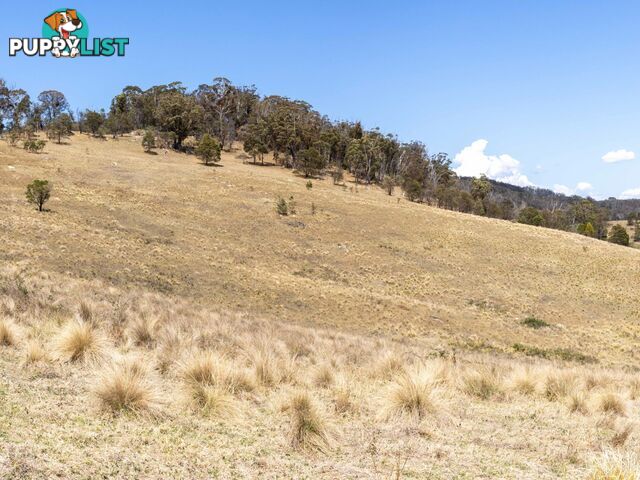 Lot 44 Mount Darragh Road WYNDHAM NSW 2550