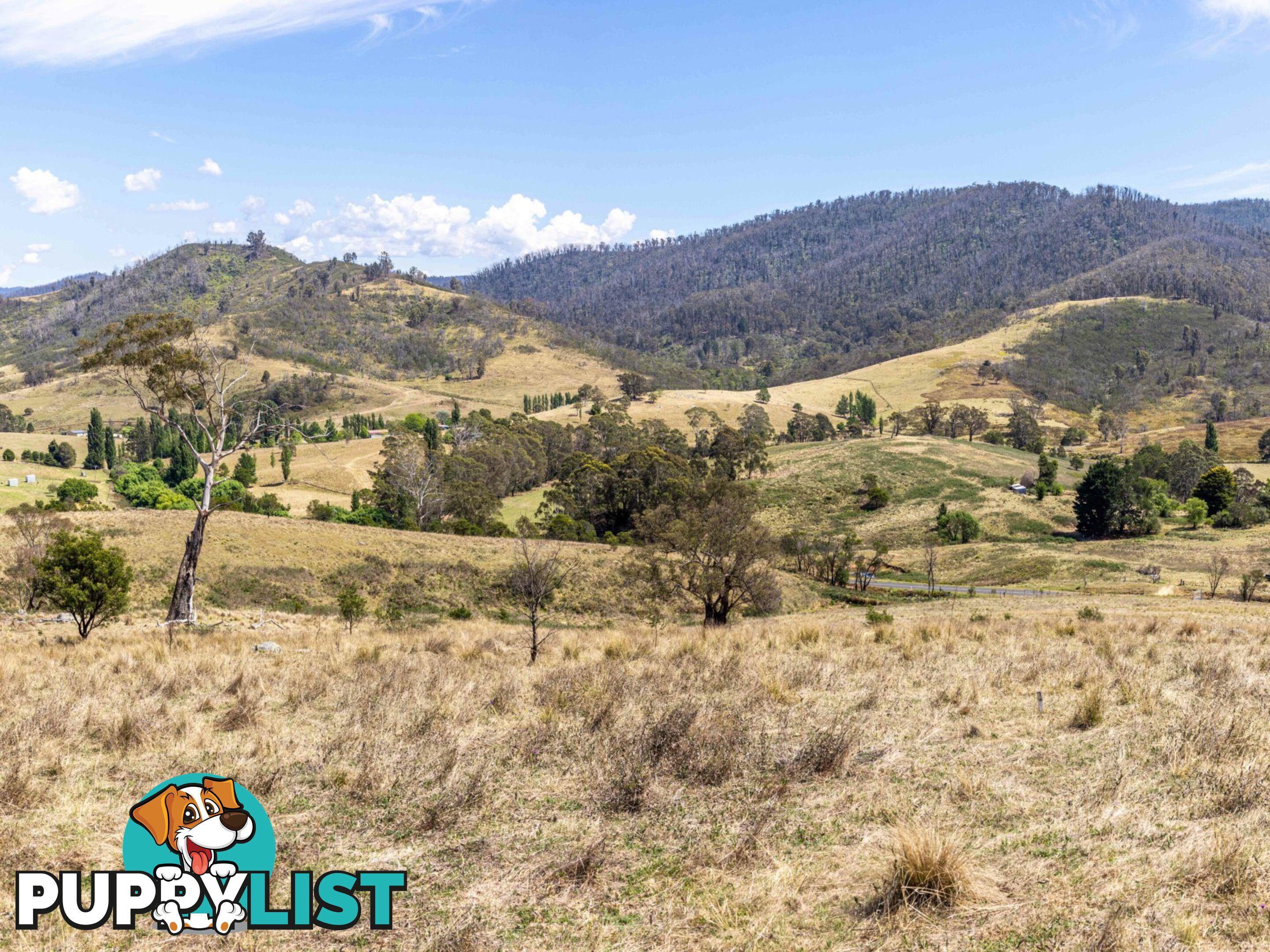 Lot 44 Mount Darragh Road WYNDHAM NSW 2550