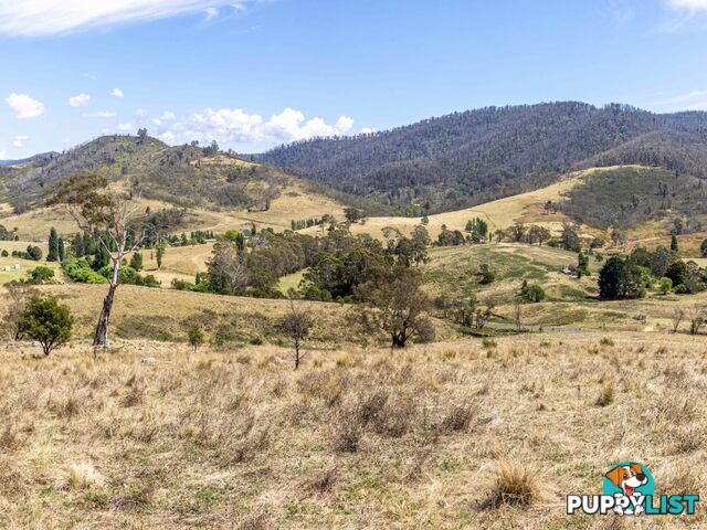 Lot 44 Mount Darragh Road WYNDHAM NSW 2550