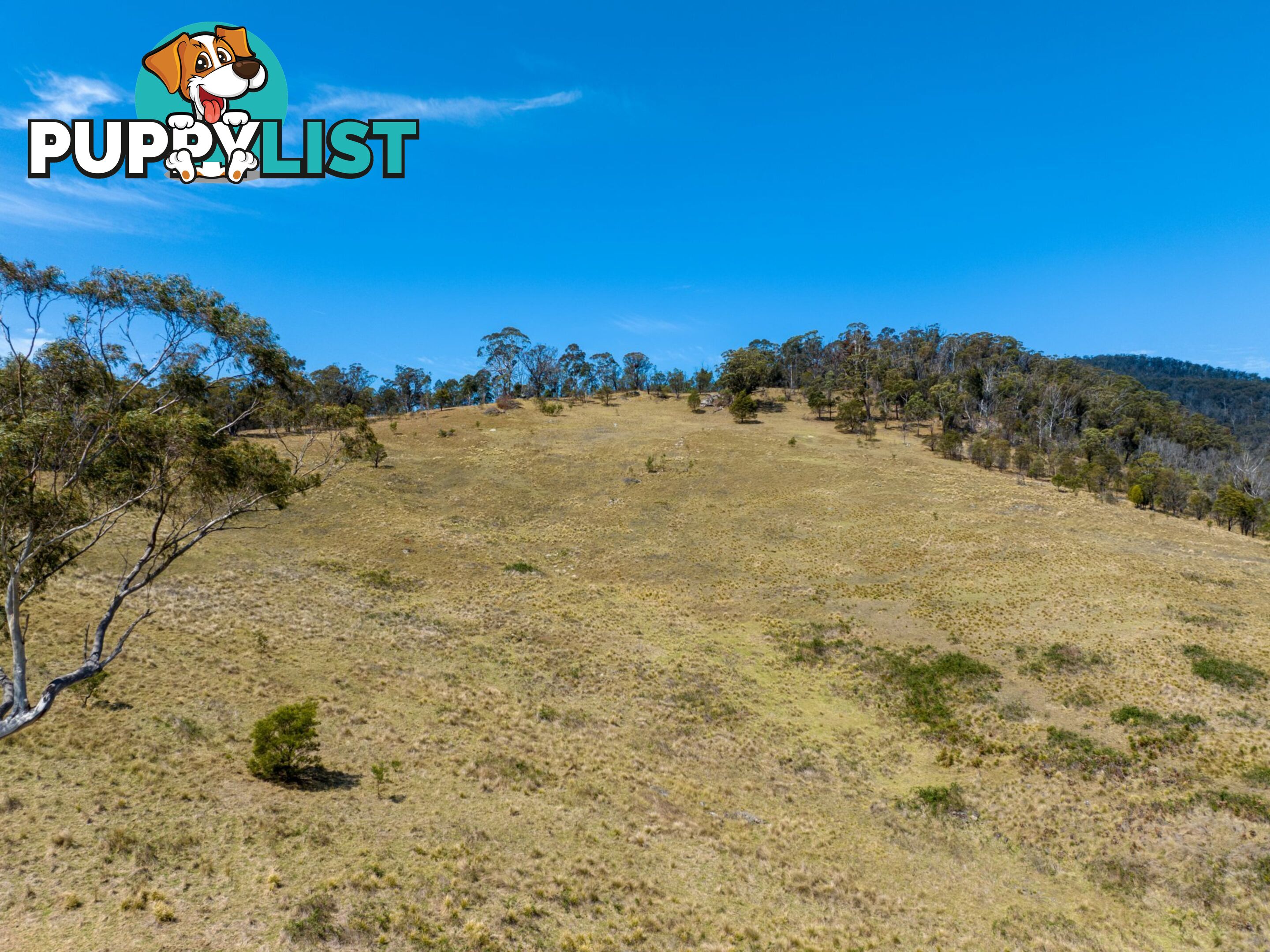 Lot 44 Mount Darragh Road WYNDHAM NSW 2550