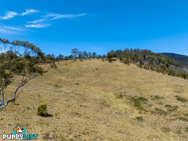 Lot 44 Mount Darragh Road WYNDHAM NSW 2550