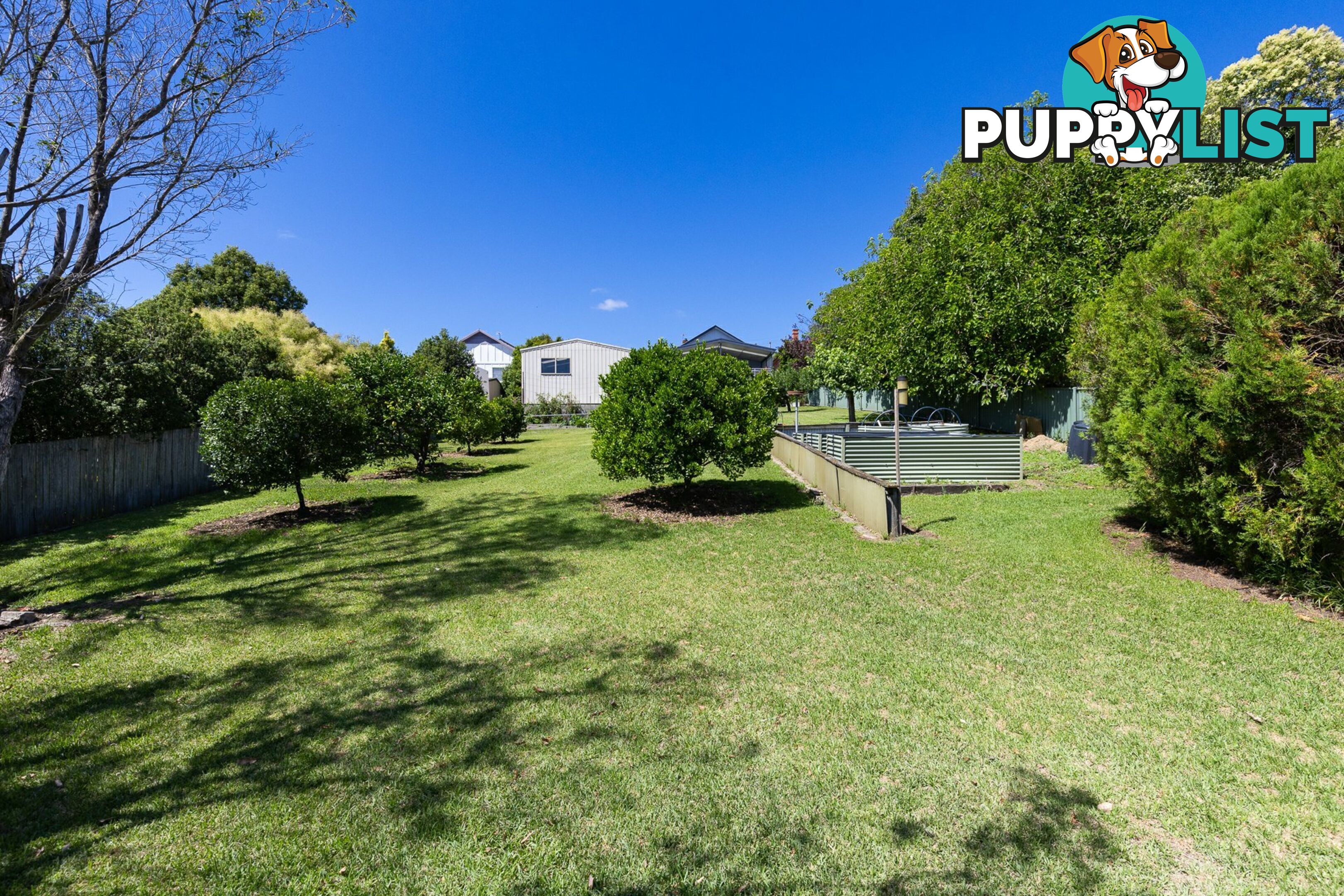 21 Bega Street BEGA NSW 2550