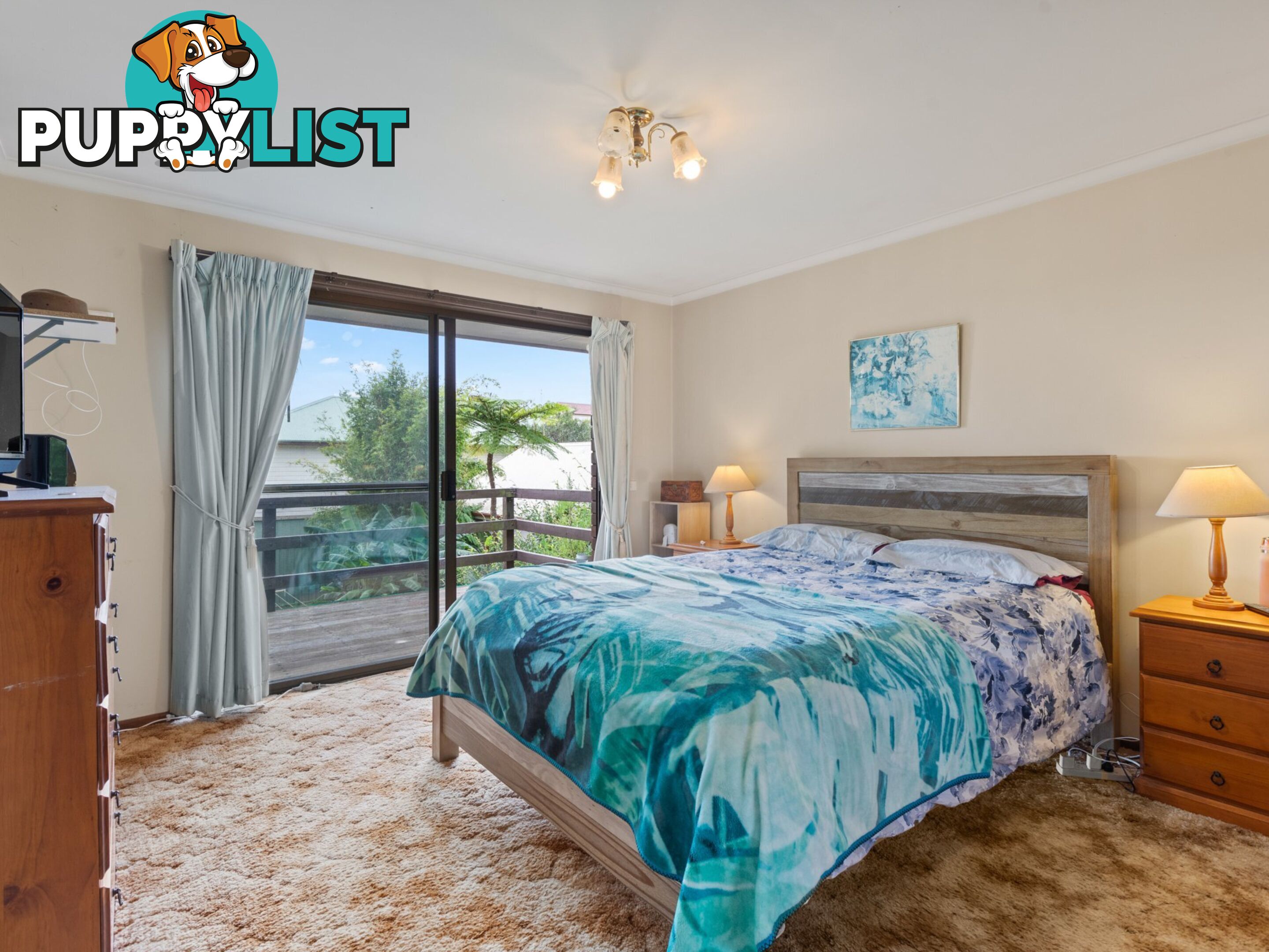 17 High Street BEGA NSW 2550