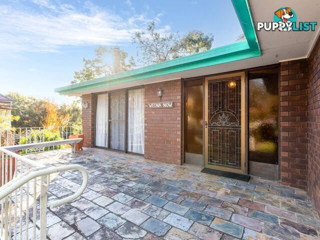 17 High Street BEGA NSW 2550