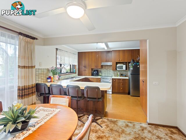 17 High Street BEGA NSW 2550