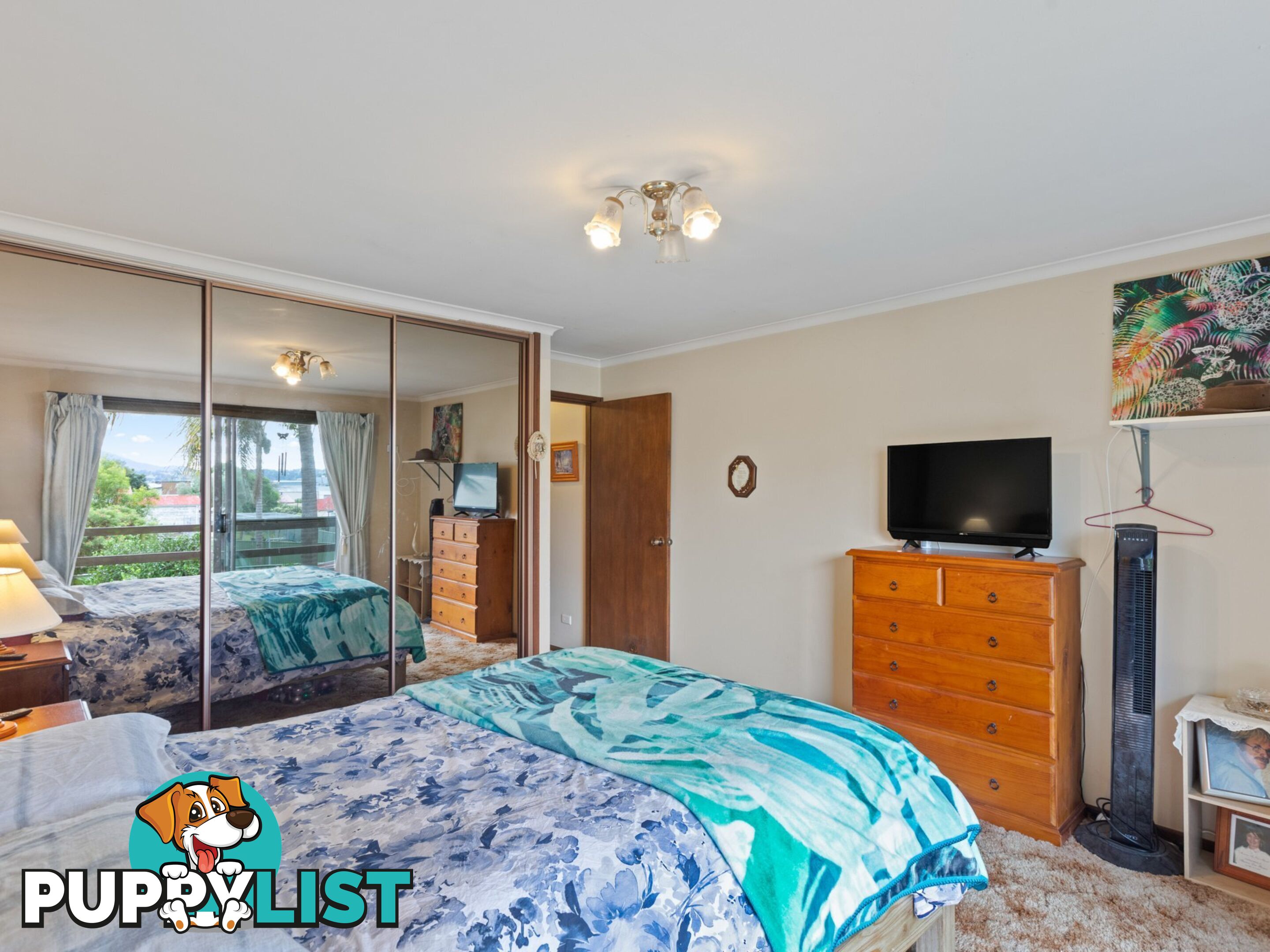 17 High Street BEGA NSW 2550