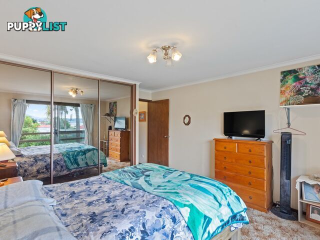 17 High Street BEGA NSW 2550