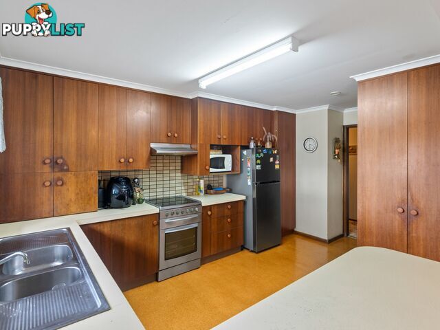 17 High Street BEGA NSW 2550