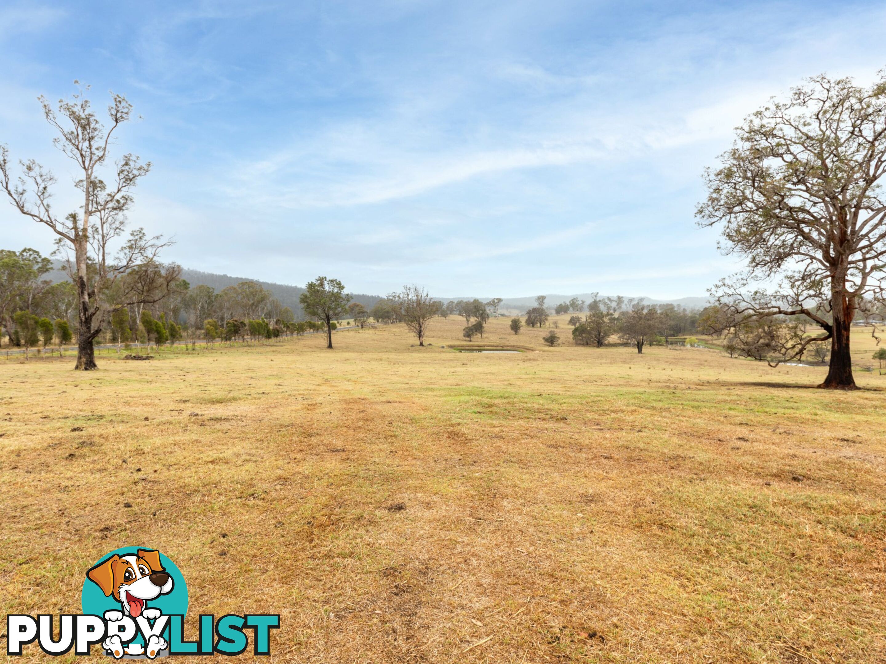 25 Barlows Road COBARGO NSW 2550