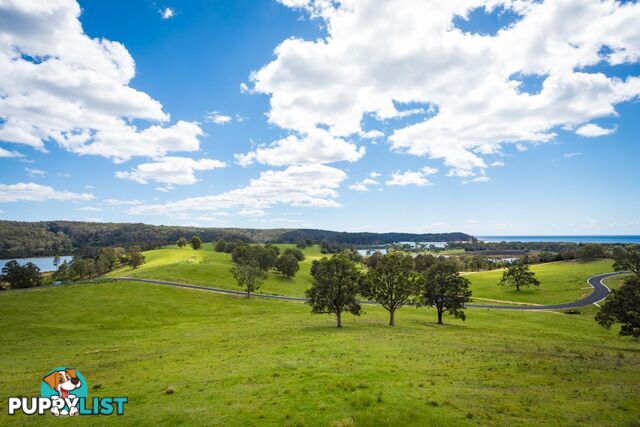 Lot 2 "Thompsons River Estate" TATHRA NSW 2550