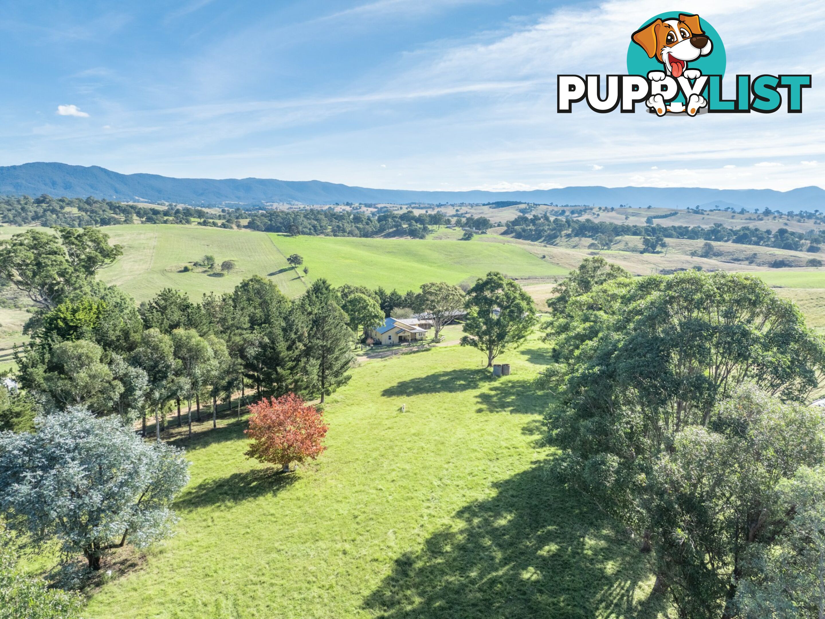 850 Mogilla Road CANDELO NSW 2550