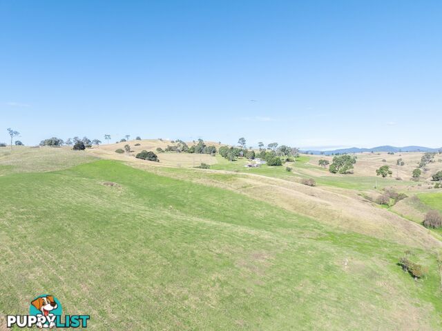 850 Mogilla Road CANDELO NSW 2550