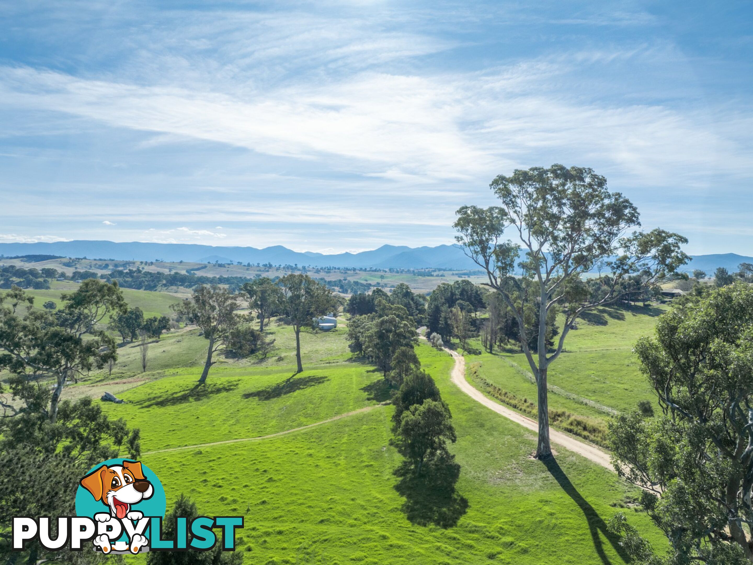 850 Mogilla Road CANDELO NSW 2550